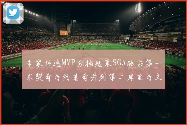 专家评选MVP分档结果SGA独占第一东契奇与约基奇并列第二库里与文班位列第四